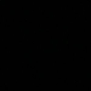 Meet your Posher, Bailey